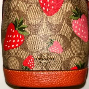 Coach Mini Dempsey Bag